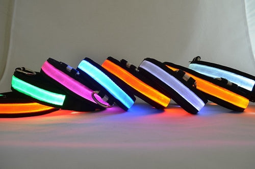 LED  Dog Collar