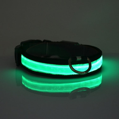 LED  Dog Collar