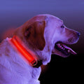 LED  Dog Collar