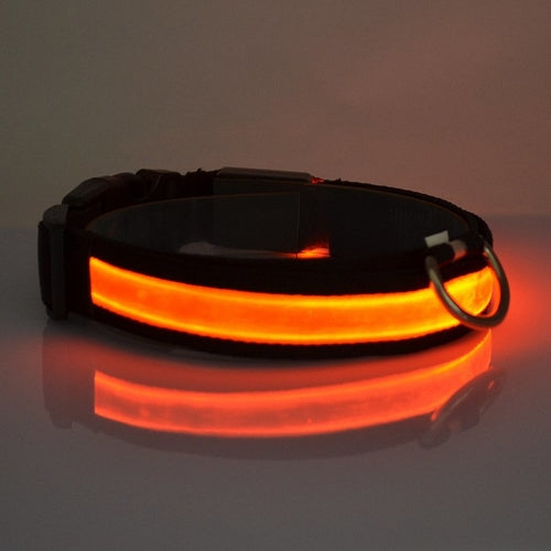 LED  Dog Collar