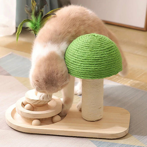 Pet Tree Scratching