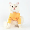 Cat & Dog sweater