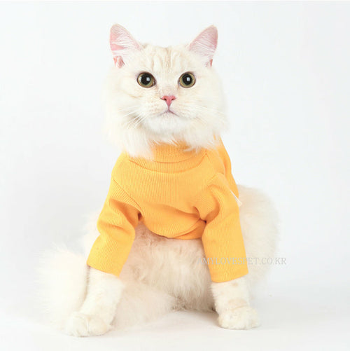 Cat & Dog sweater