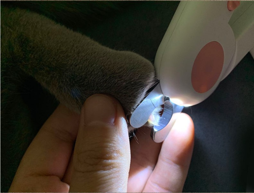 Pet Nail Cutter