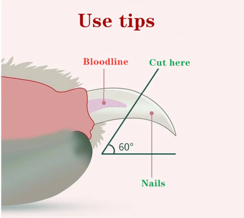 Pet Nail Cutter