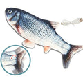 Electric Fish Toy