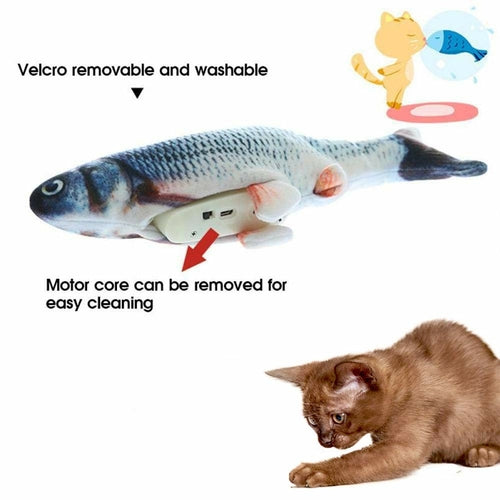 Electric Fish Toy