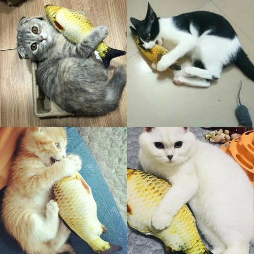 Electric Fish Toy